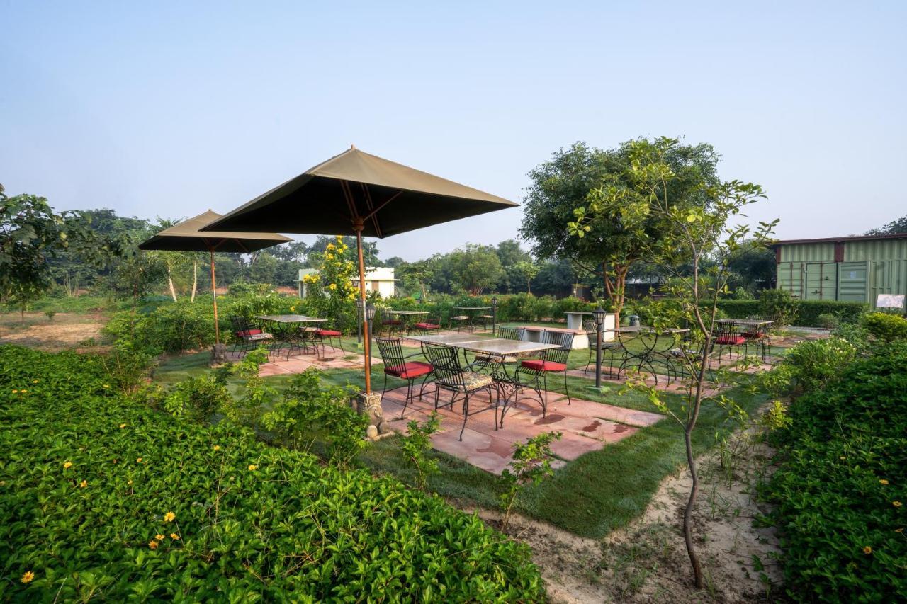 Tree Of Life Ecotainers Agra Hotel Agra  Exterior photo